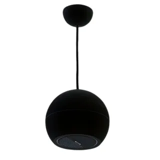 DSPPA DSP107B